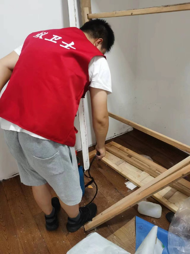 白蚁与环境保护的协同作用与策略