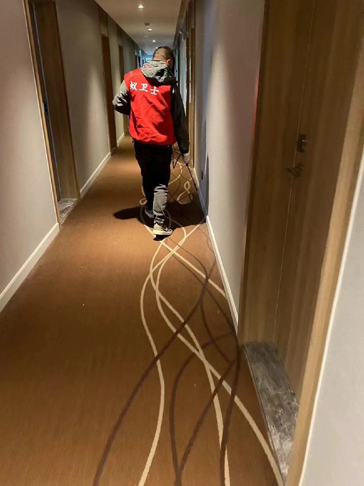 白蚁灭治的协作机制与合作模式